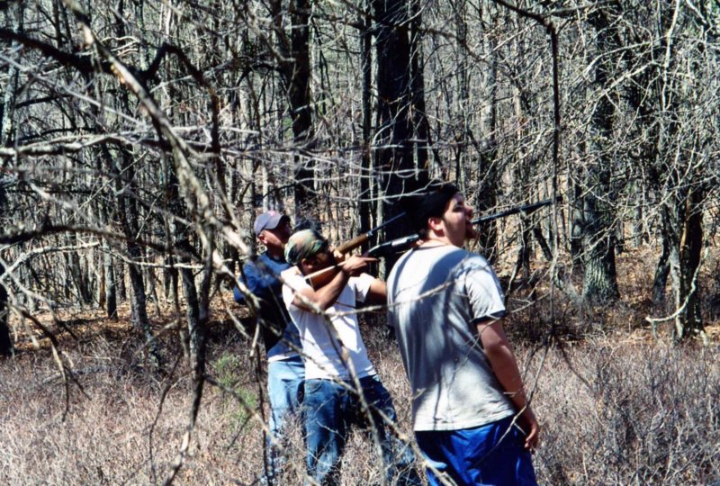 img127.jpg
