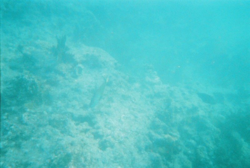 fl000007.jpg