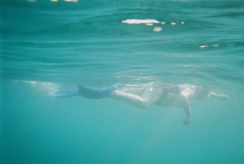 fl000009.jpg