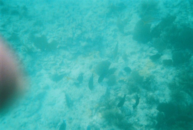 fl000011.jpg