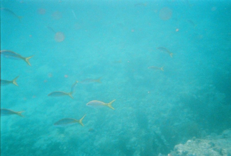 fl000013.jpg