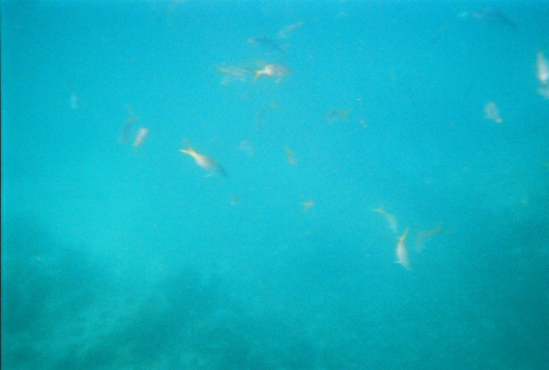 fl000016.jpg