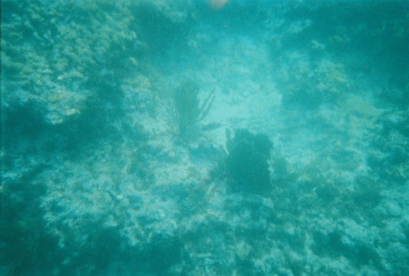 fl000020.jpg