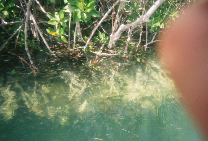 fl0000202.jpg