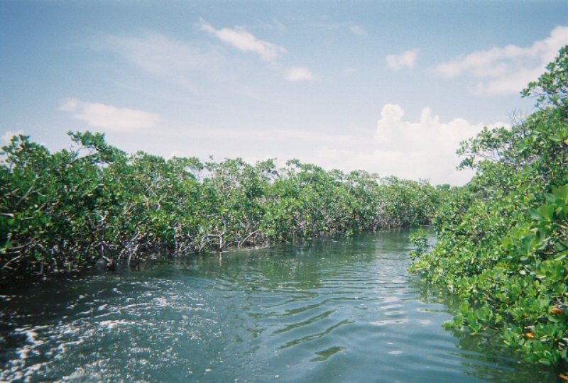 fl000022.jpg