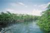 fl000022_small.jpg