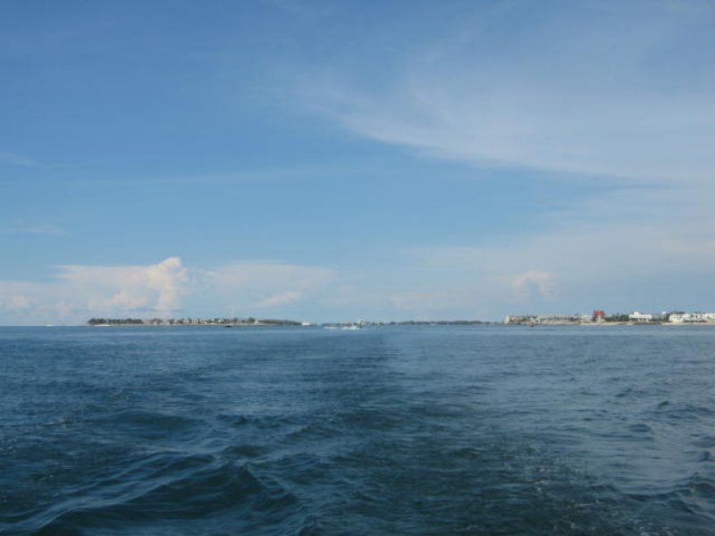 img_3162.jpg