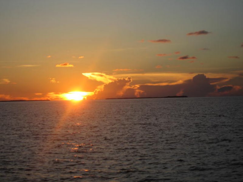 img_3187.jpg