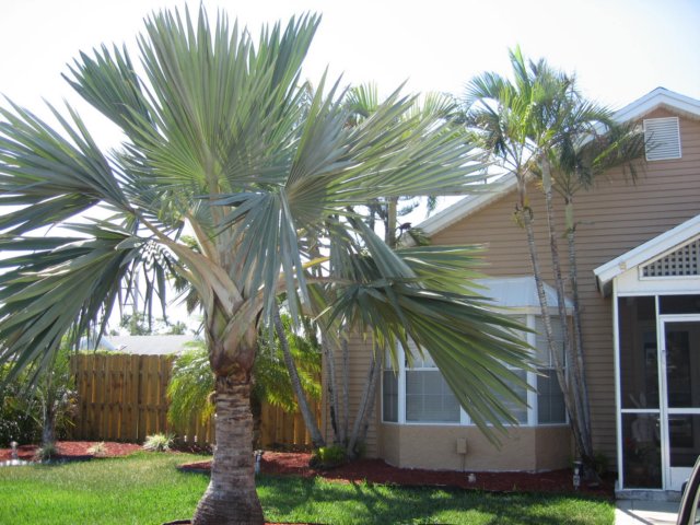 tanyasnewhouse3.jpg