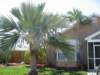 tanyasnewhouse3_small.jpg