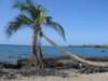 abeach16_small.jpg
