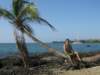 abeach17_small.jpg