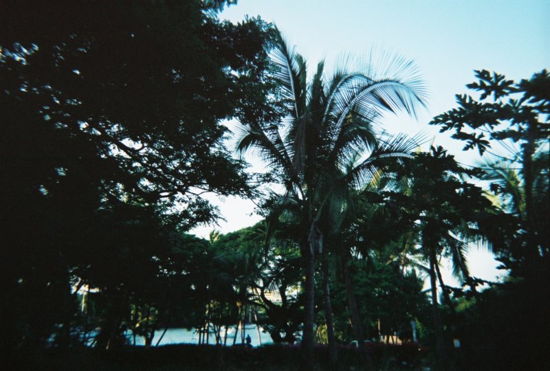 r10324_004.jpg