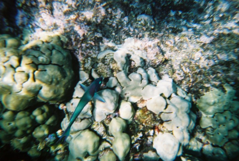 r10520a_006.jpg
