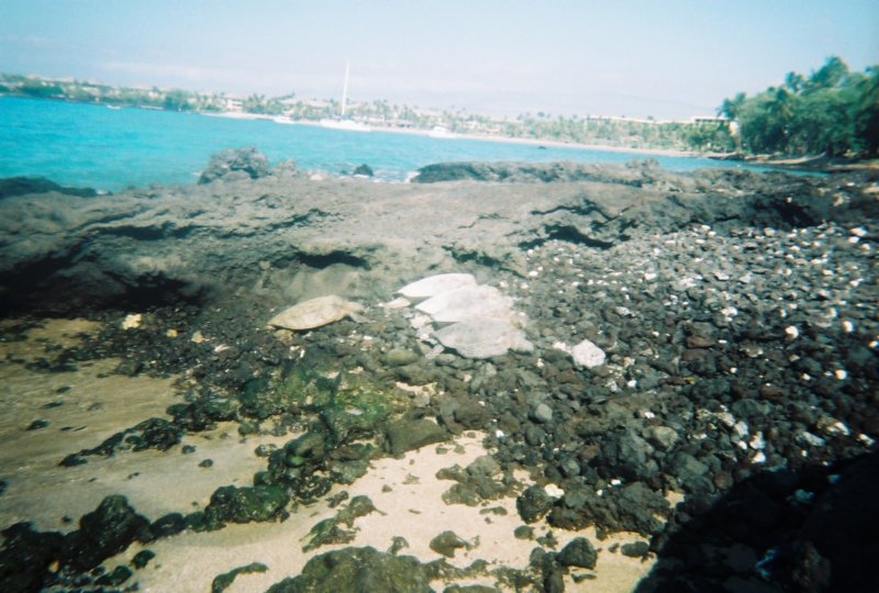 r11312_014.jpg