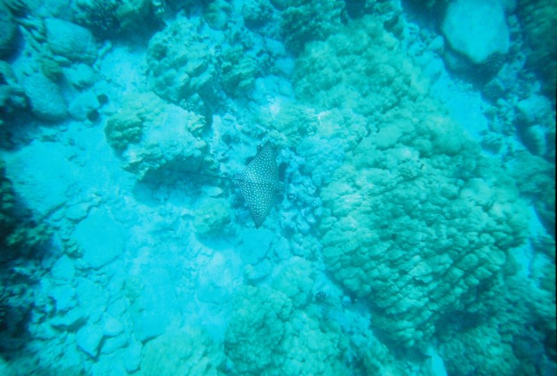 r11312a_014.jpg