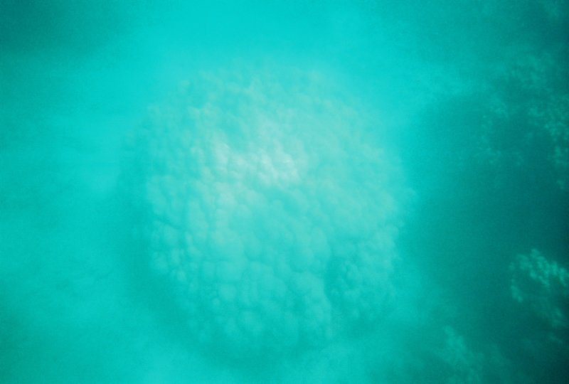 r1187_019.jpg