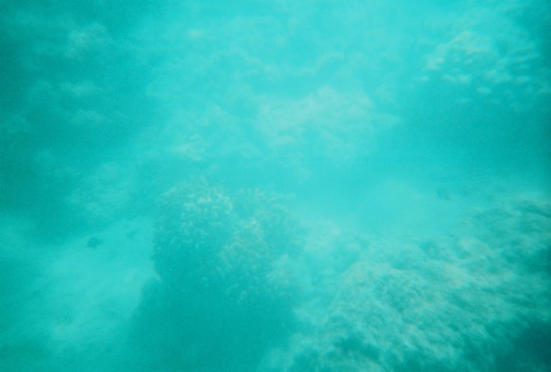 r1214_022.jpg