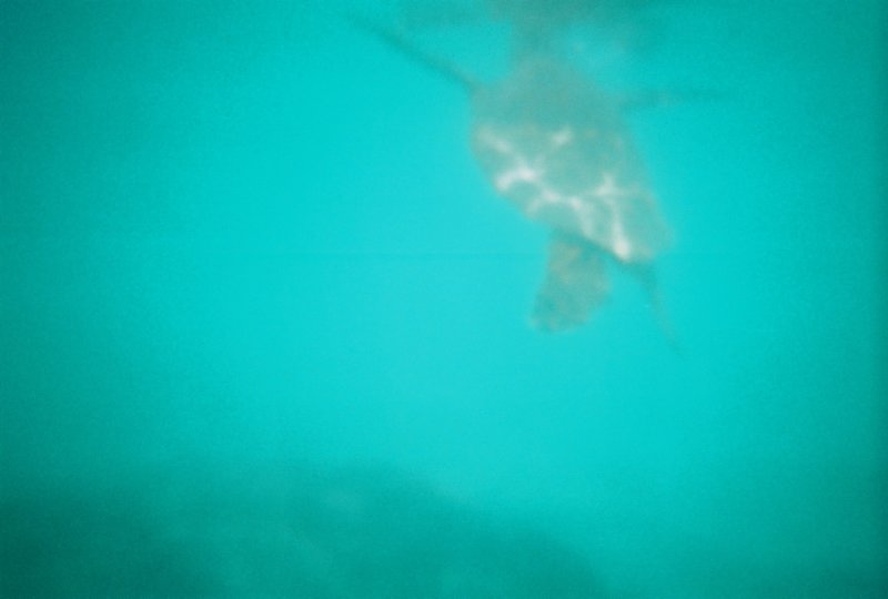 r1223_023.jpg