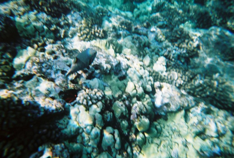 r1223a_023.jpg