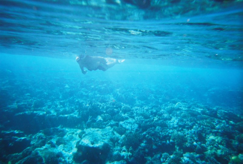 r1232a_024.jpg