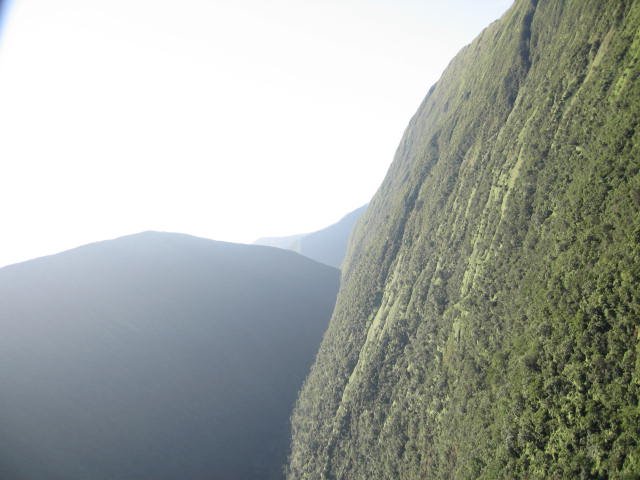 img_4551.jpg