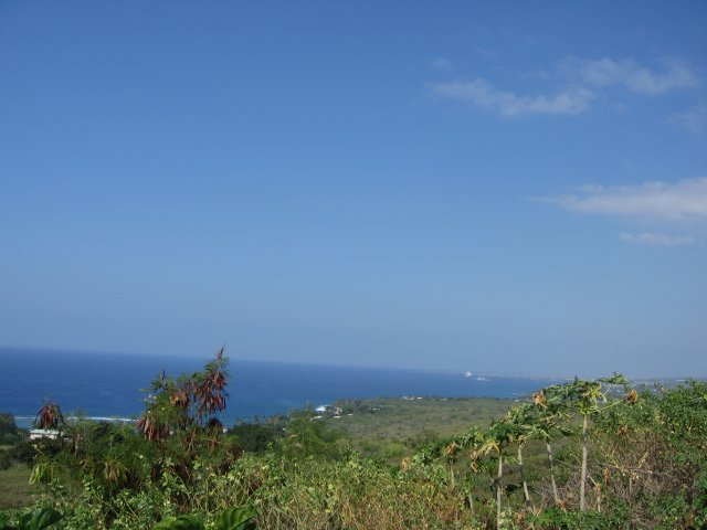 img_4335.jpg