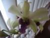 img_5358_small.jpg
