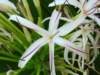 img_5363_small.jpg