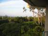 viewfromourroom3_small.jpg