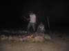 camping1043_small.jpg