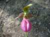 img_2265_small.jpg