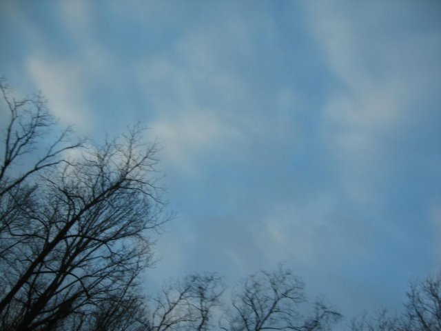 lookhowbluetheskywaslater.jpg