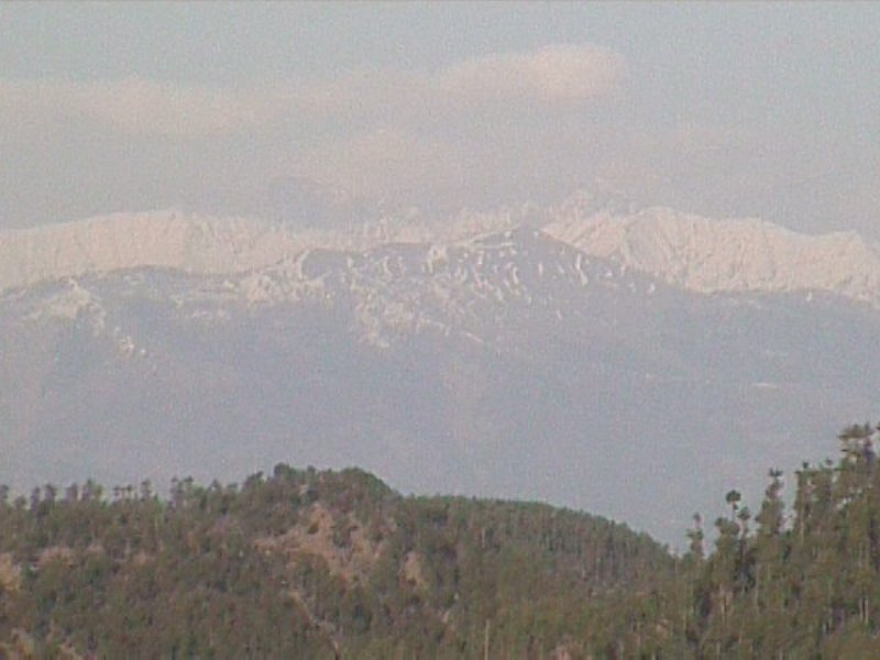 dvc00208.jpg