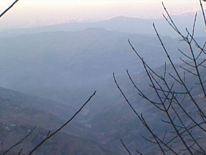 dvc00227.jpg