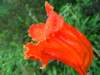 img_5047_small.jpg