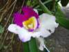 img_5100_small.jpg