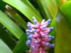 img_5116_small.jpg