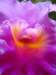 img_5121_small.jpg