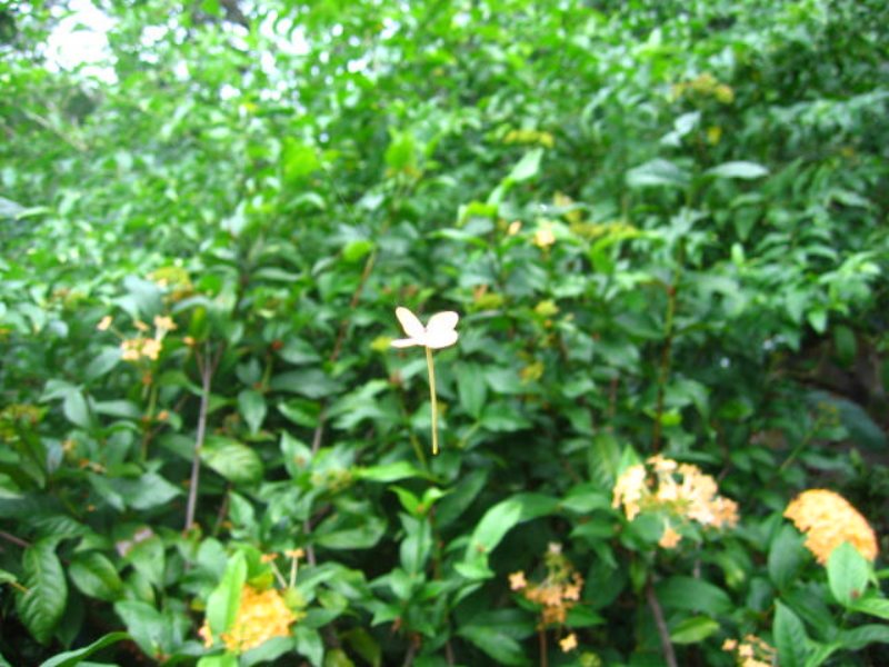 img_5143.jpg