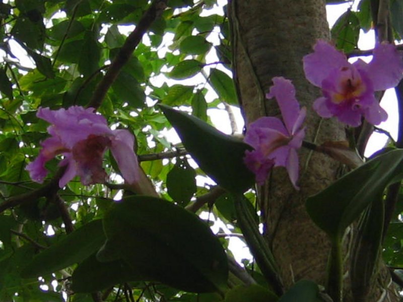 img_5167.jpg