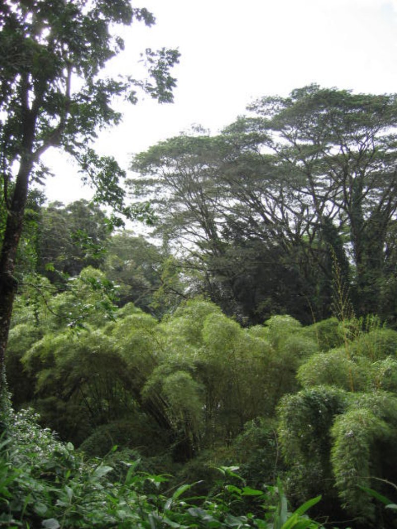 img_5176.jpg