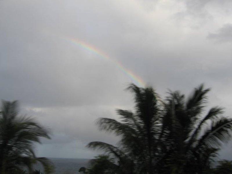 img_5239.jpg