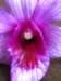 img_5253_small.jpg