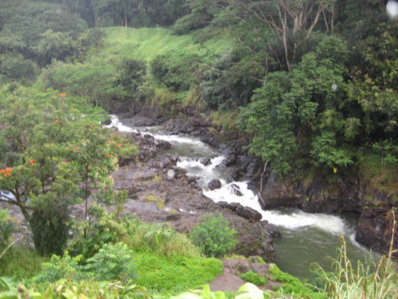 img_5258.jpg