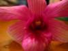 img_5336_small.jpg