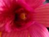 img_5338_small.jpg
