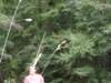 img_3539_small.jpg